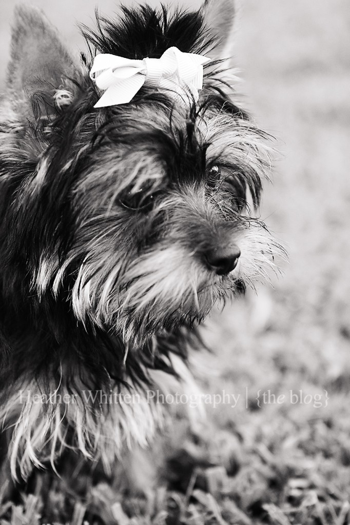 IMG_4230bw
